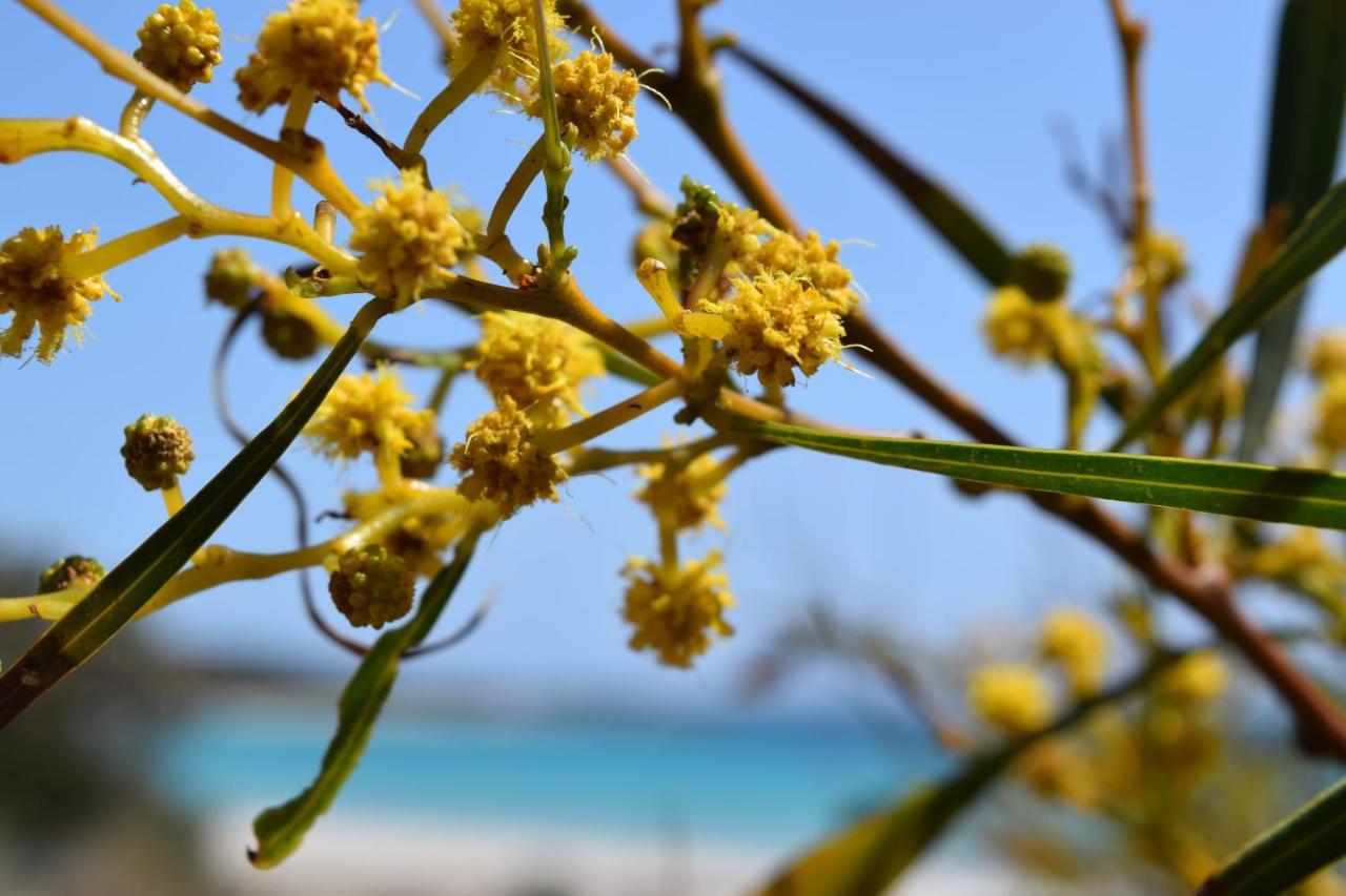 לינה וארוחת בוקר דנסבורו Eagle Bay House מראה חיצוני תמונה
