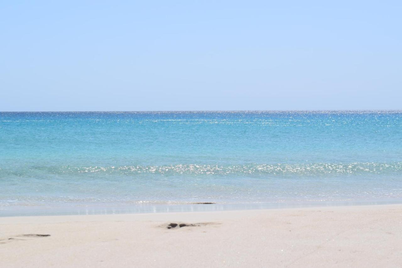 לינה וארוחת בוקר דנסבורו Eagle Bay House מראה חיצוני תמונה